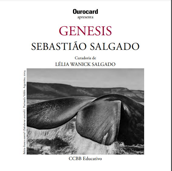 CCBB Educativo – Genesis Sebastião Salgado
